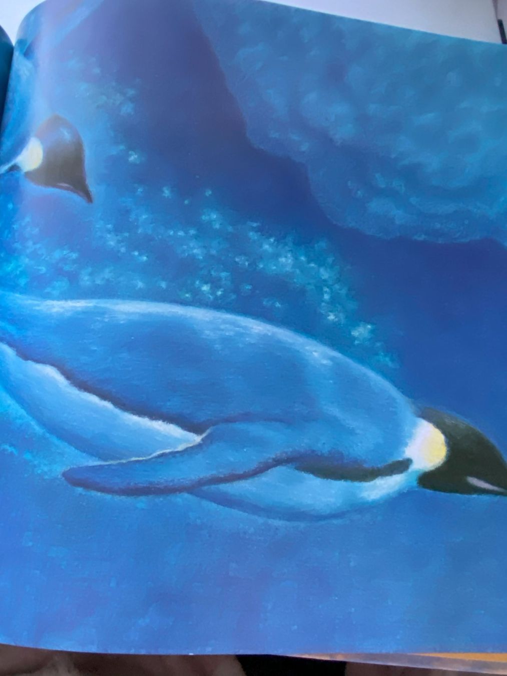 Libri: Otto, der kleine Pinguin – Nuovo (secondo la descrizione) da Sachseln venduto da basti1950 8