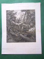Waldtobel bei Schloss Wildenstein. Kupferstich, P. Vischer.