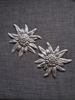 2x Sterne Edelweiss