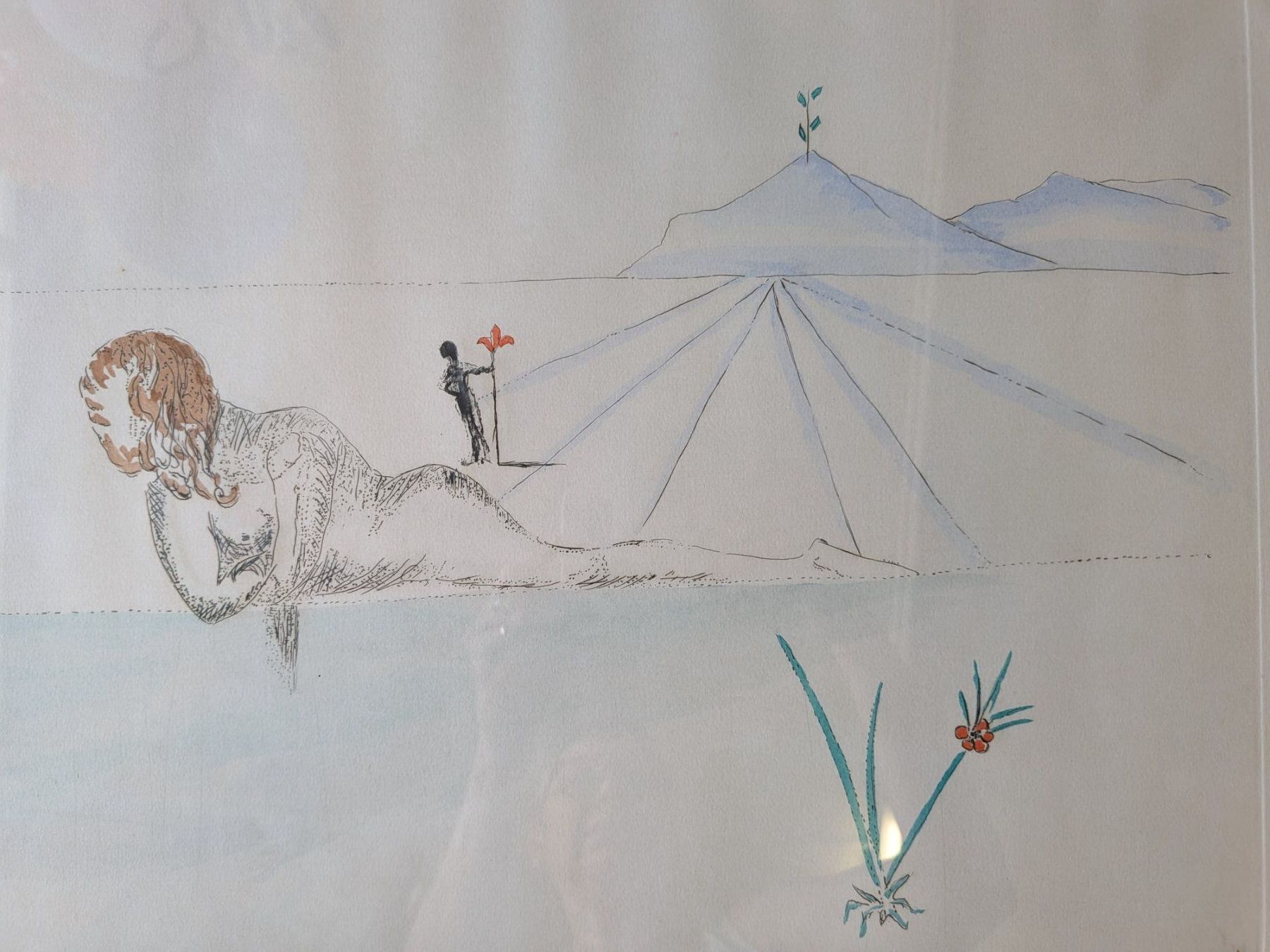 Grafica & Litografie: Lithographie Salvador Dali – Usato da Emmen venduto da magelan 5