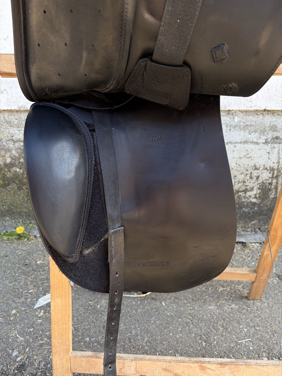 Sattel & Sattelzubehör: Dressursattel Prestige Venus – Gebraucht aus Bottmingen von chl_87yv 4