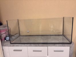 Terrarium mit gitterabdeckung