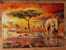 Puzzle Savanna Pool Elefant 1000 Teile