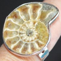 Ring L-4471 – Ammonit Fossil – Grössenverstellbar