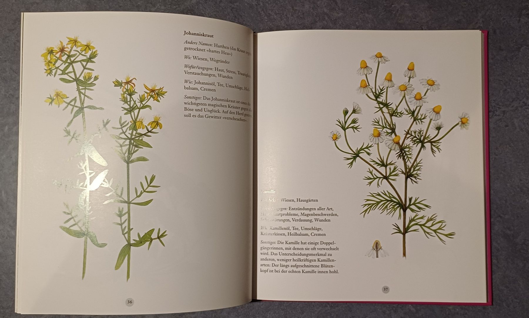 Libri: Buch 'Kinderwerkstatt Zauberkräuter' – Usato da Entlebuch venduto da Waldschratt65 3