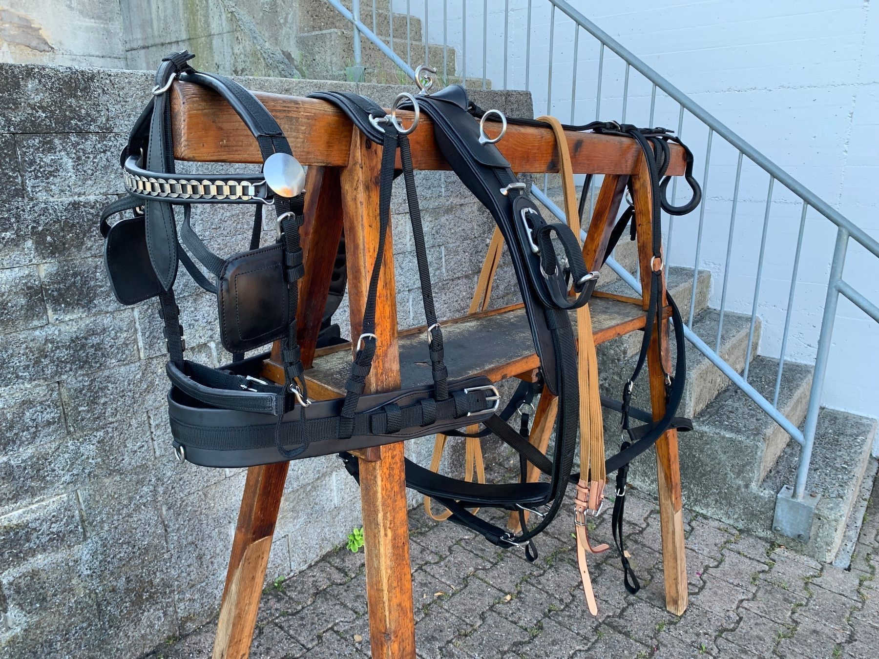 Carrozze: schönes einspänniges Brustblattgeschirr – Usato da Feldbach venduto da Fea1 2