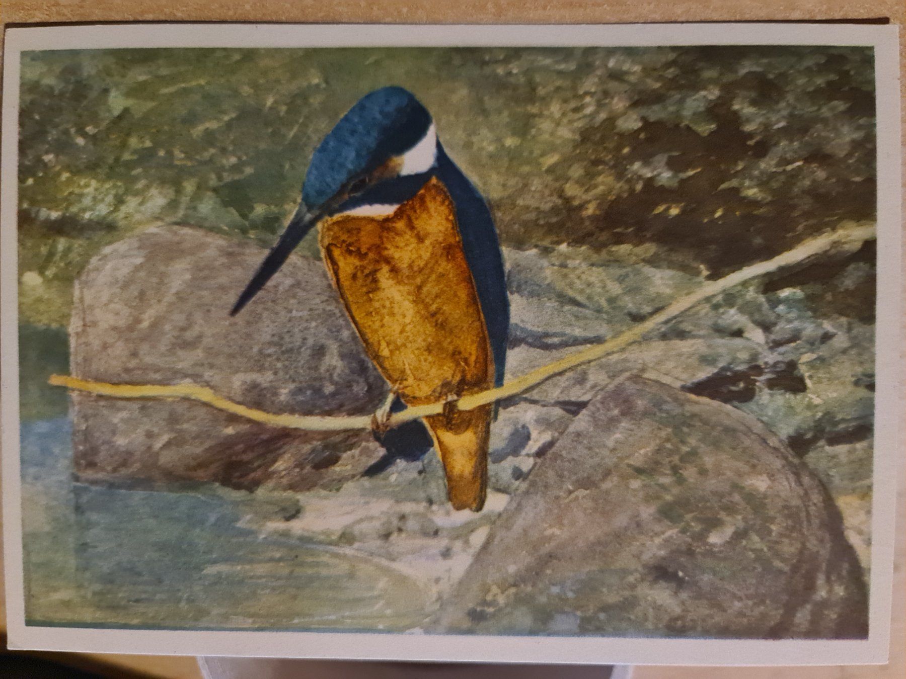 Cartoline postali: Ansichtskarte Aquarell Kunstdruck Léon-Paul Robert – Nuovo (secondo la descrizione) da Dintikon venduto da Vexi