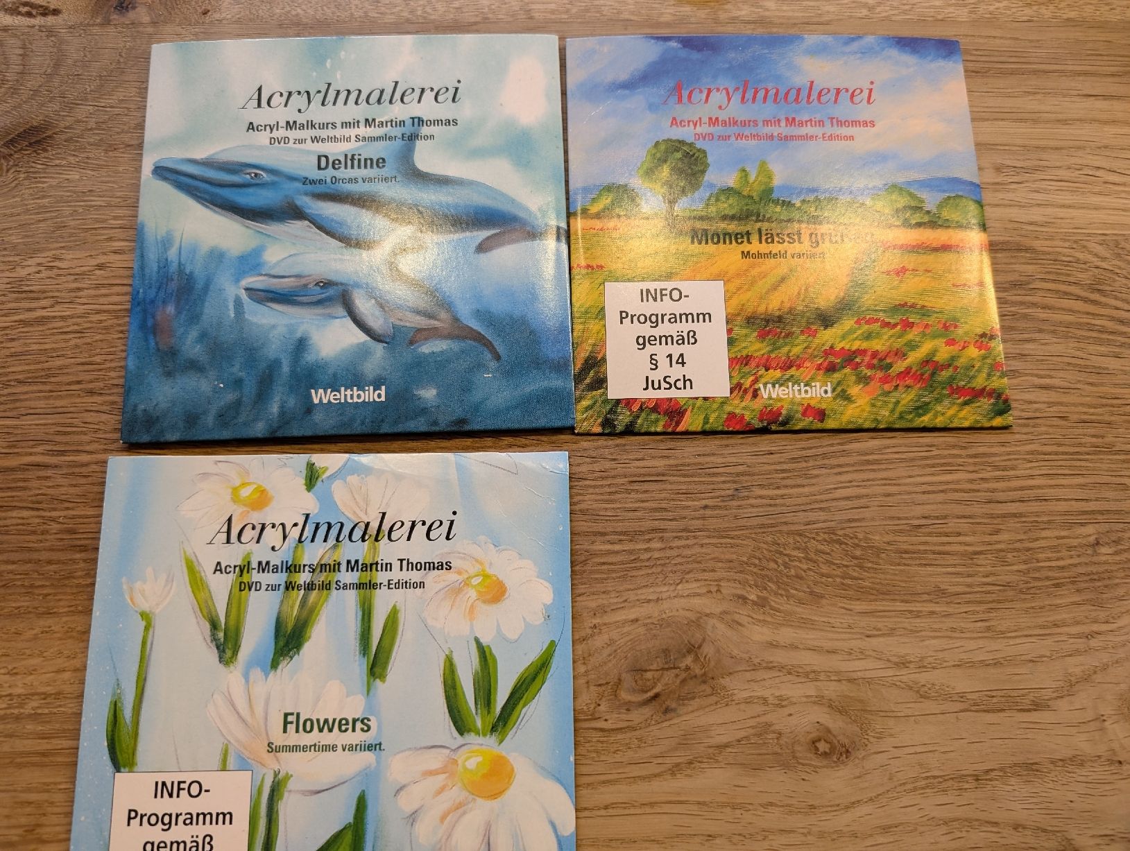 Tutti i DVDs: Acrylmalerei 7 DVDs – Usato da Winterthur venduto da voan 2