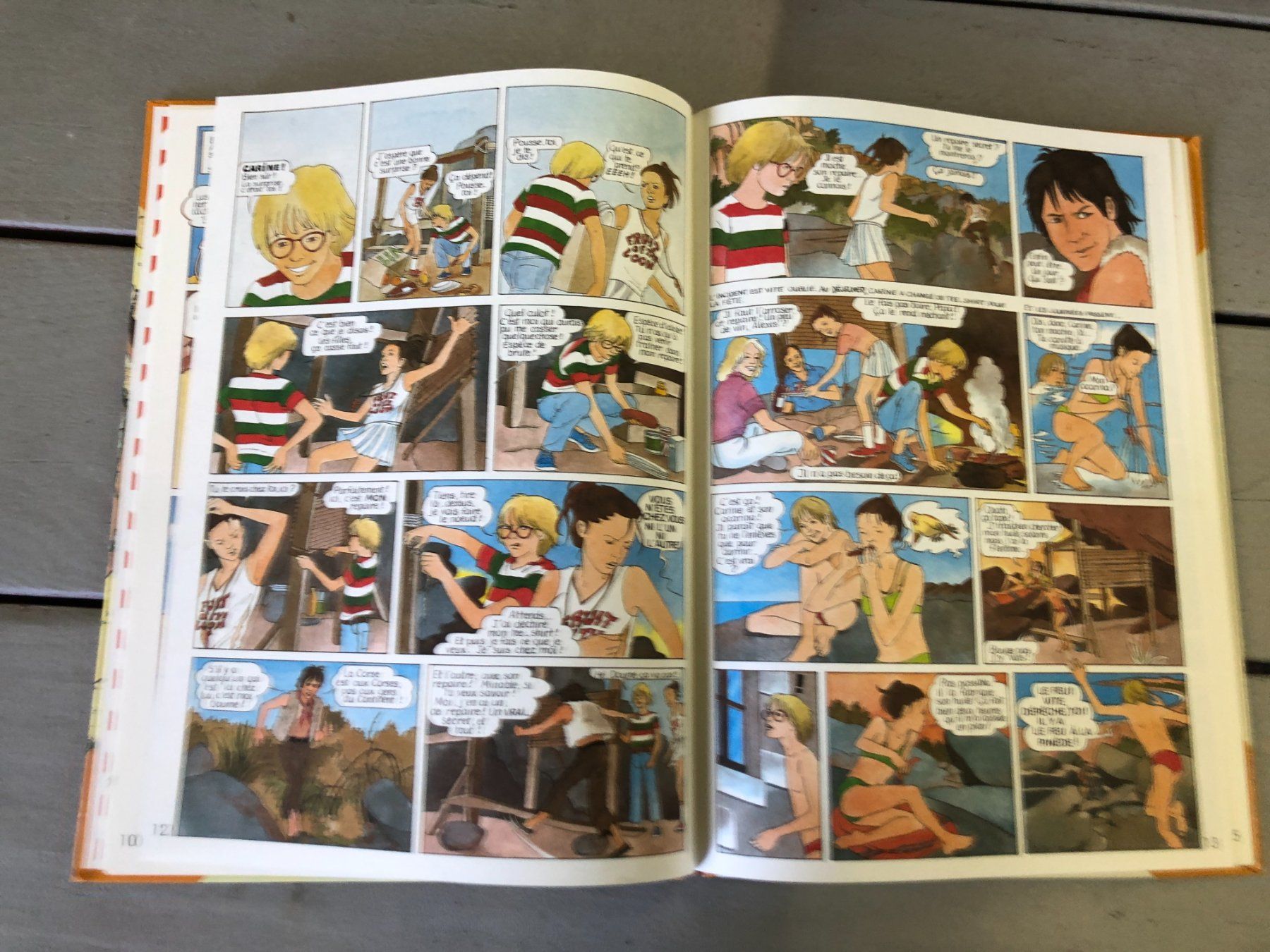 Fumetti: LA LIONNE AU COEUR DE PIERRE – Usato da Avenches venduto da WEBHobby 1