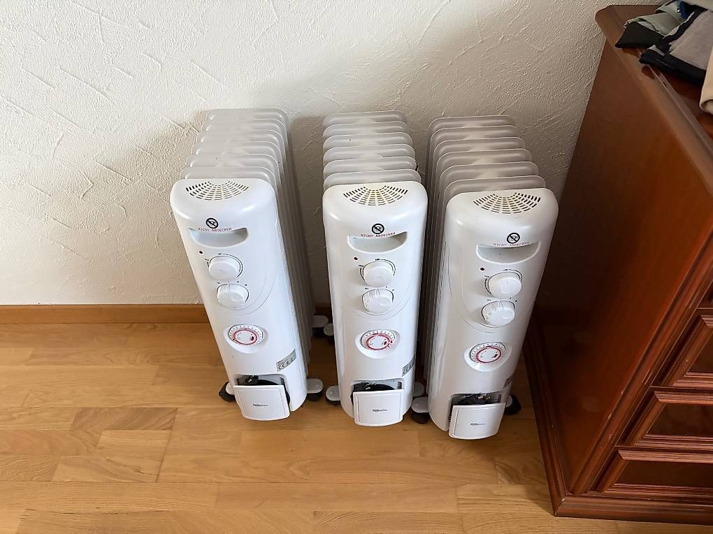 Radiatori: Radiatoren 3 Jährig – Usato da Forch venduto da Arber4669