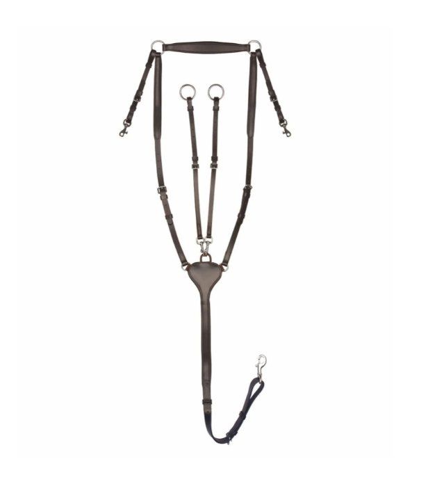 Briglie & Cavezze: Waldhausen Vorderzeug X-Line Professional – Nuovo (secondo la descrizione) da Klingnau venduto da anduril_25 3