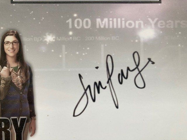 Foto & Immagini: The Big Bang Theory Bild – Usato da Pfaffnau venduto da Yoka0 2