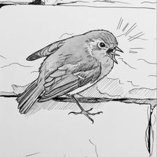 Profile image of Blablablaz