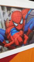 Cadres Marvel Spiderman 3d pour déco chambre enfant