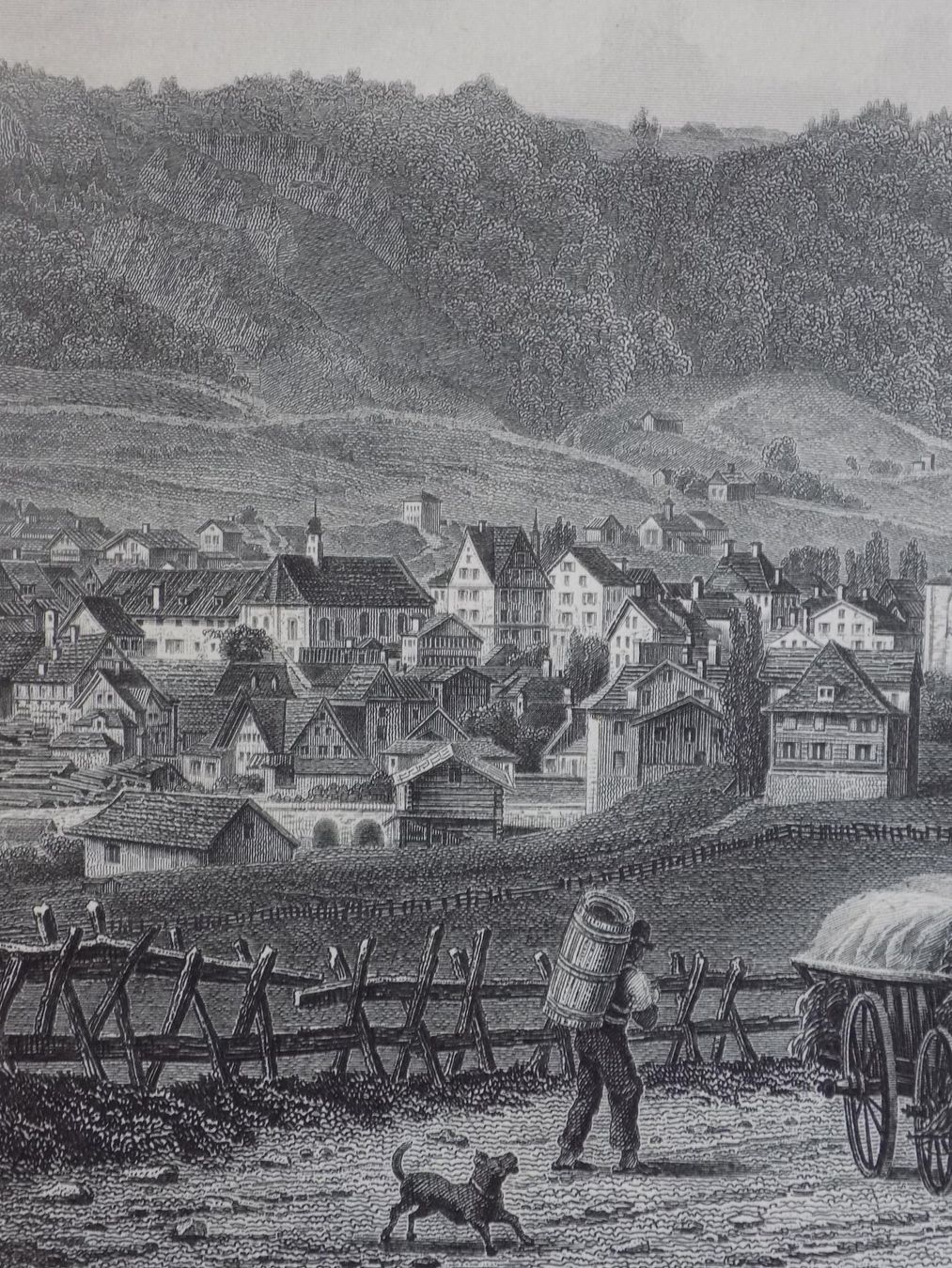Incisioni: Appenzell Stahlstich – Usato da Risch venduto da Rischli15 3
