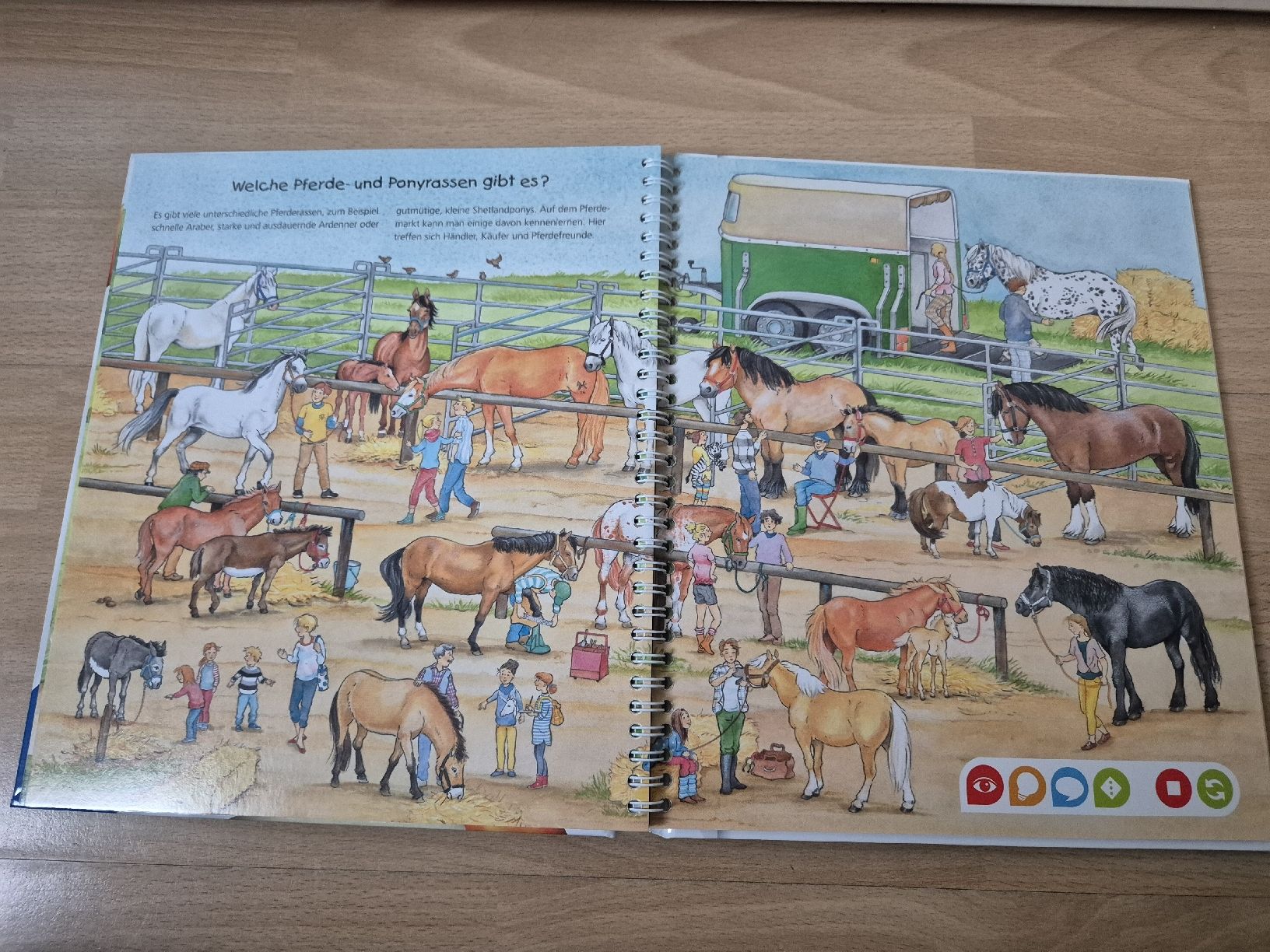 Tiptoi Spiele: tiptoi Buch Pferde und Ponys – Gebraucht aus Kappel SO von tiger1921 3