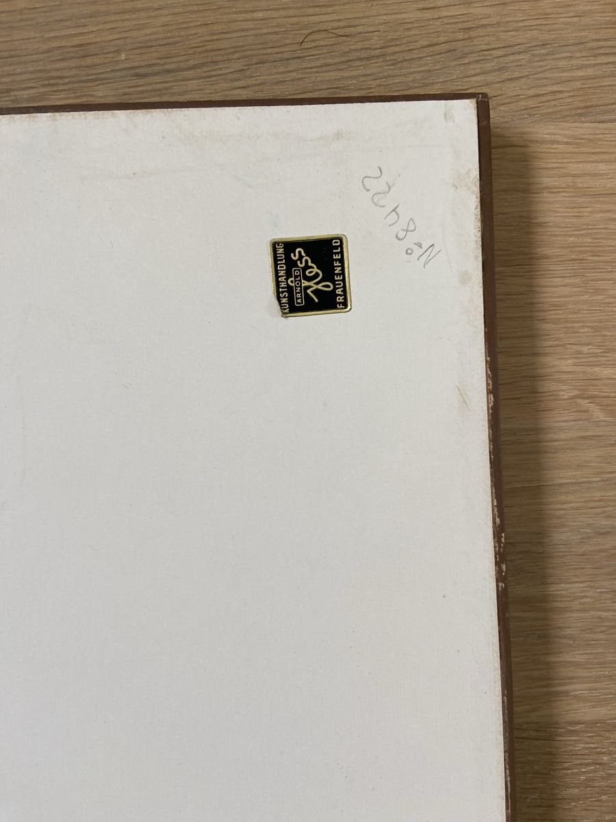 Foto & Immagini: Antikes Bild Schaffhausen Rahmen vergoldet – Usato da Zürich venduto da Lilabalu65 2