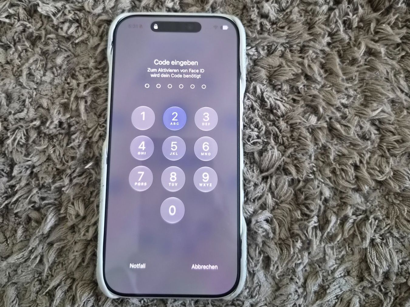 Apple Telefoni cellulari / Smartphones: iPhone 17 256GB mit Hülle – Usato da Domat Ems venduto da tchnesa