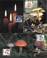 Pro Juventute 1994 Serie 4 Maximumkarten ET Bern 28.11.1994