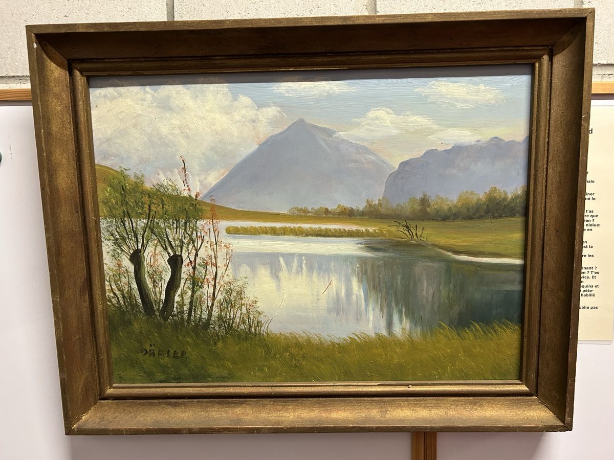 Colori: Peinture de Dähler – Usato da etoy venduto da cibest118