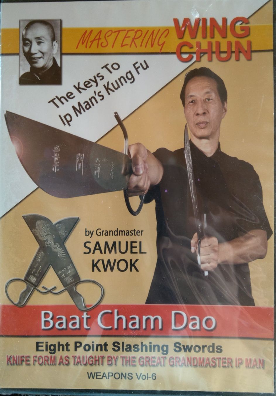 2xWing Chun Kung Fu, Biu Gee & Baat Cham Dao Lern-DVDs (Neu (gemäss ...