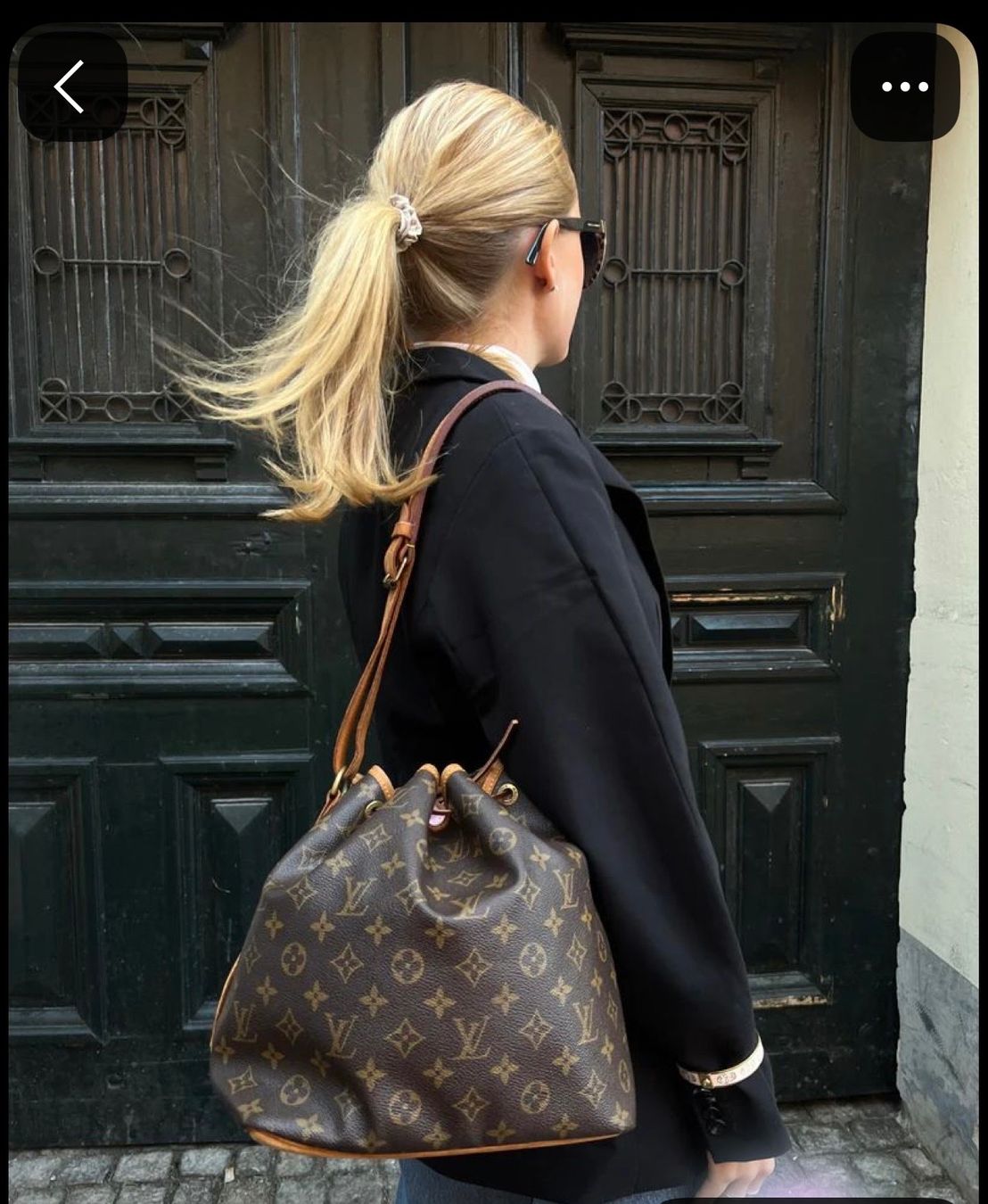 Louis Vuitton Borse da donna: Louis Vuitton Petit Sac Noe Monogram Canvas – Usato da Buch am Irchel venduto da Pukpan_99 9