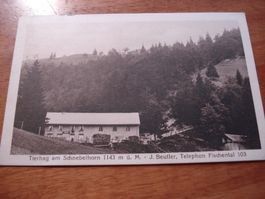 Karte Tierhag am Schnebelhorn, um 1920 ungelaufen