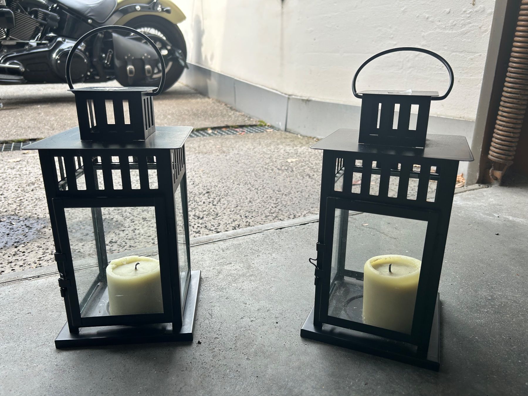 Pflanzen & Samen: Pflanzen – Gebraucht aus Luzern von giv_tmj8 5