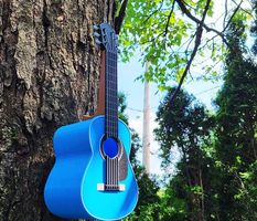 Nistkasten Gitarre  Vogelhäuschen für Musikfans