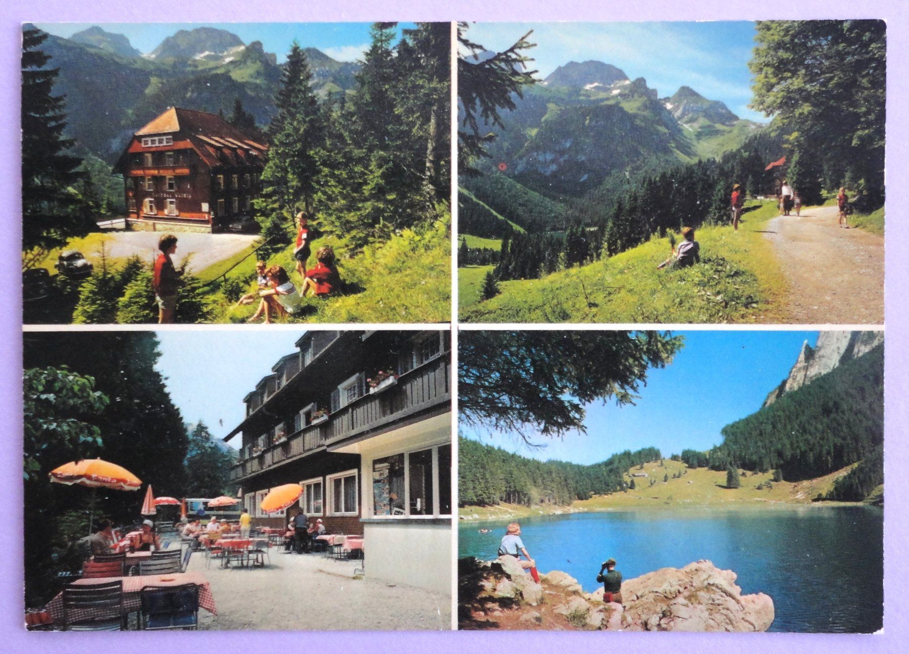 Cartoline postali: Grabs-Voralp – Usato da Fétigny venduto da Billy2miny