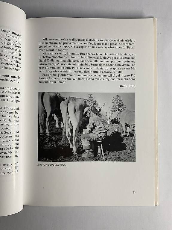 Libri: Valle Bedretto - Appunti di storia – Usato da Gudo venduto da mat_sj7s 2