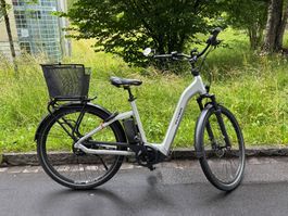 Flyer Gotour 5 eBike  top gepflegt, neuer Akku