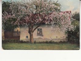 Künstlerkarte Landschaft 1912 mit ST Sevelen