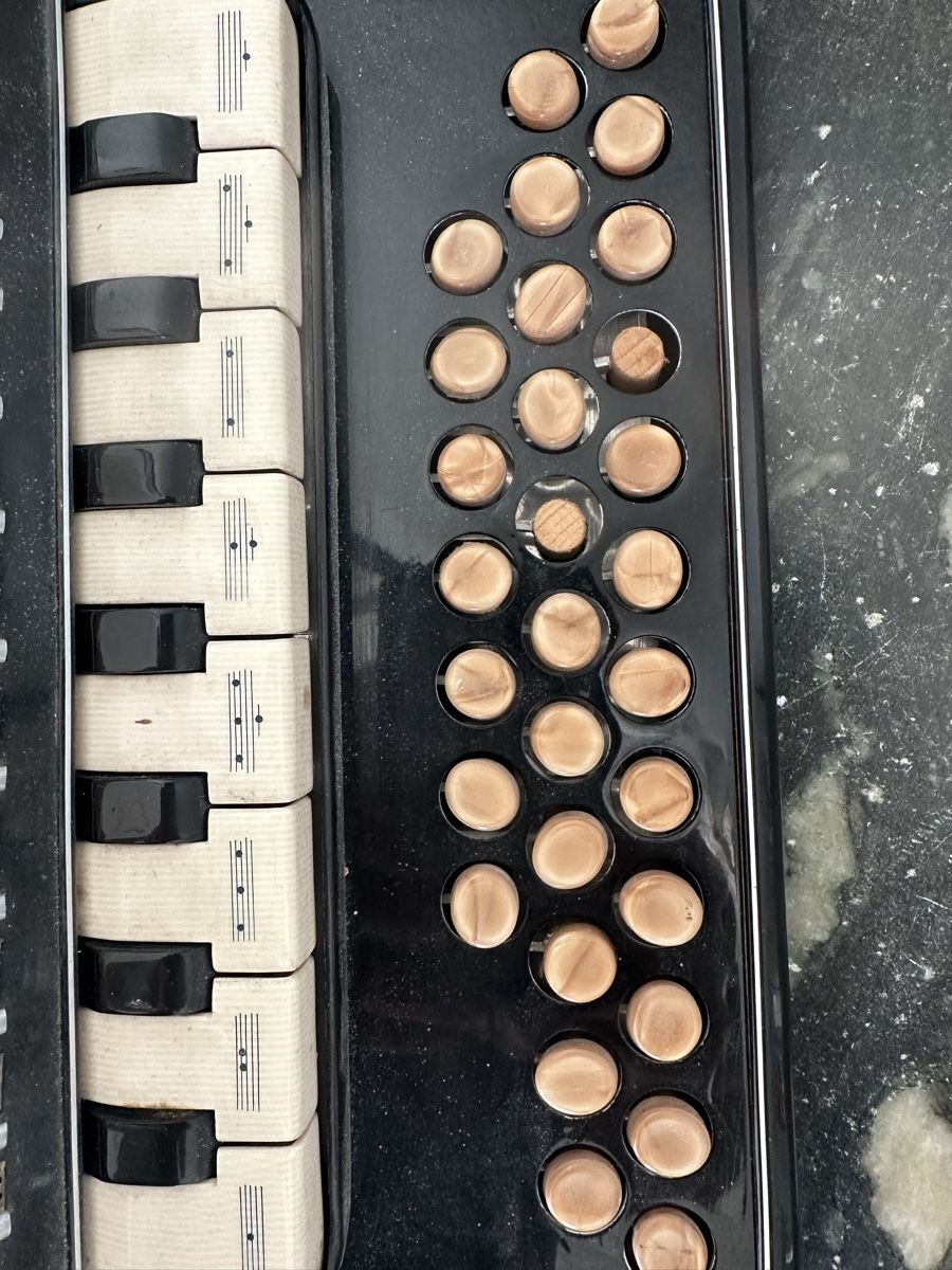 Strumenti musicali: Ackermann Akkordeon  – Usato da Ennetmoos venduto da beod 4