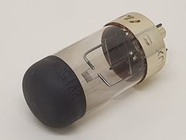Projektionslampe, Projektorlampe FUJI 12V/150W, G17q  - RAR!