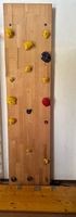 Kletterwand 260cmX63cm