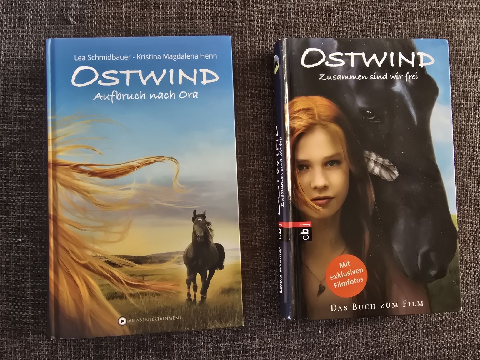 Libri: Buch Ostwind – Usato da Lostorf venduto da Venice16