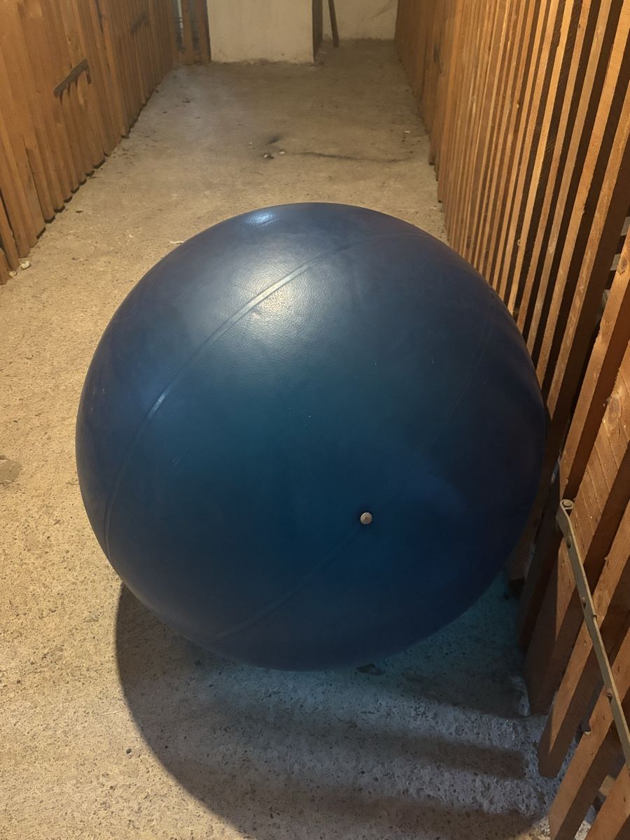 Palloni: Gymnastikball, Sitzball, – Usato da Kloten venduto da Mister_G