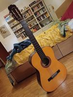 Chitarra classica Royal