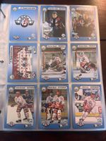 SC Rapperswil-Jona Lakers SCRJ Player Trading Cards 1993/94