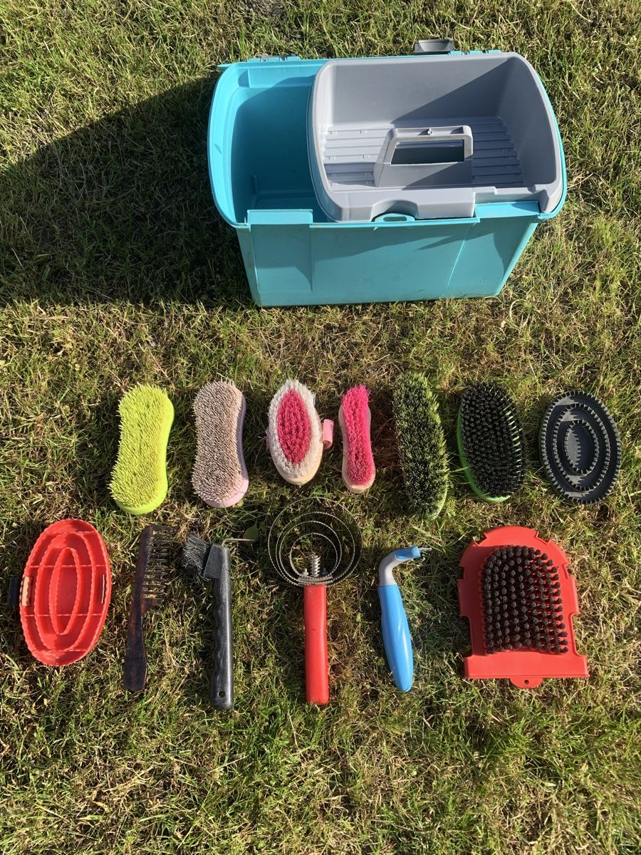 Altro per la casa: Putzbox mit Striegel – Usato da Widnau venduto da S31
