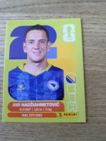 Panini Sammelkarte BIH 8 Amir Hadžiahmetović