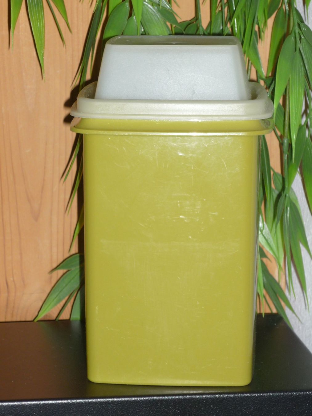 Tupperware Contenitori & Simili: TUPPERWARE GURKENLIFT – Usato da St.Gallen venduto da Anso