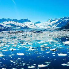 Profile image of Polar2016