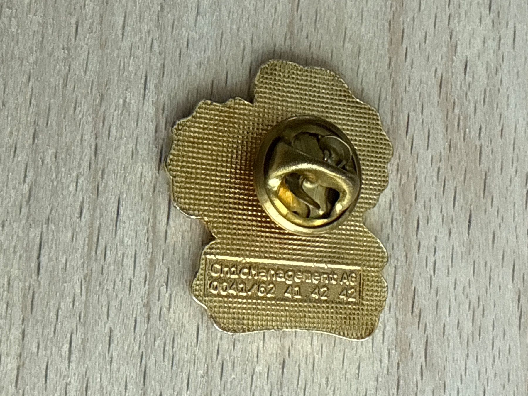 Placchette & Badge: Pin HOWEG – Usato da Glattbrugg venduto da Schweigmatt 1