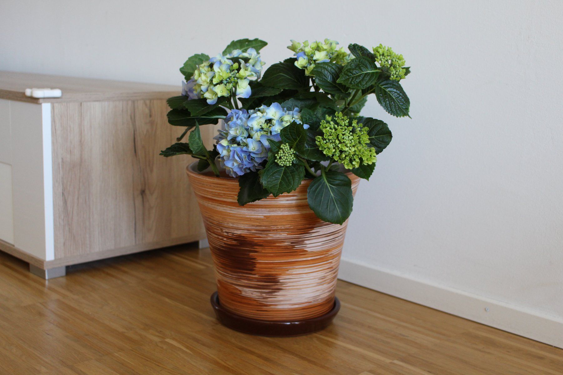 Vasi per fiori: Pflanzentopf/Blumentopf/Tontopf/Garten – Nuovo e nell'imballaggio originale da Zürich venduto da StellaKar 3
