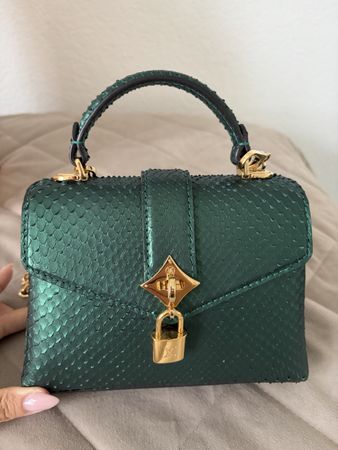 Louis Vuitton cappucin Python 