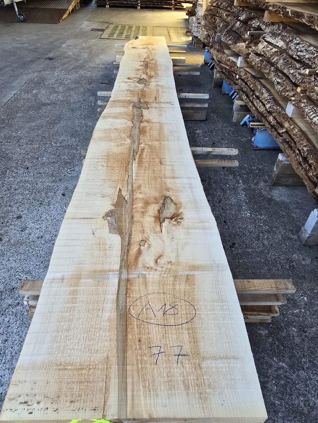 Articles en bois: Ahornbretter – Neuf (Voir description) à Ramsei par Waelchris