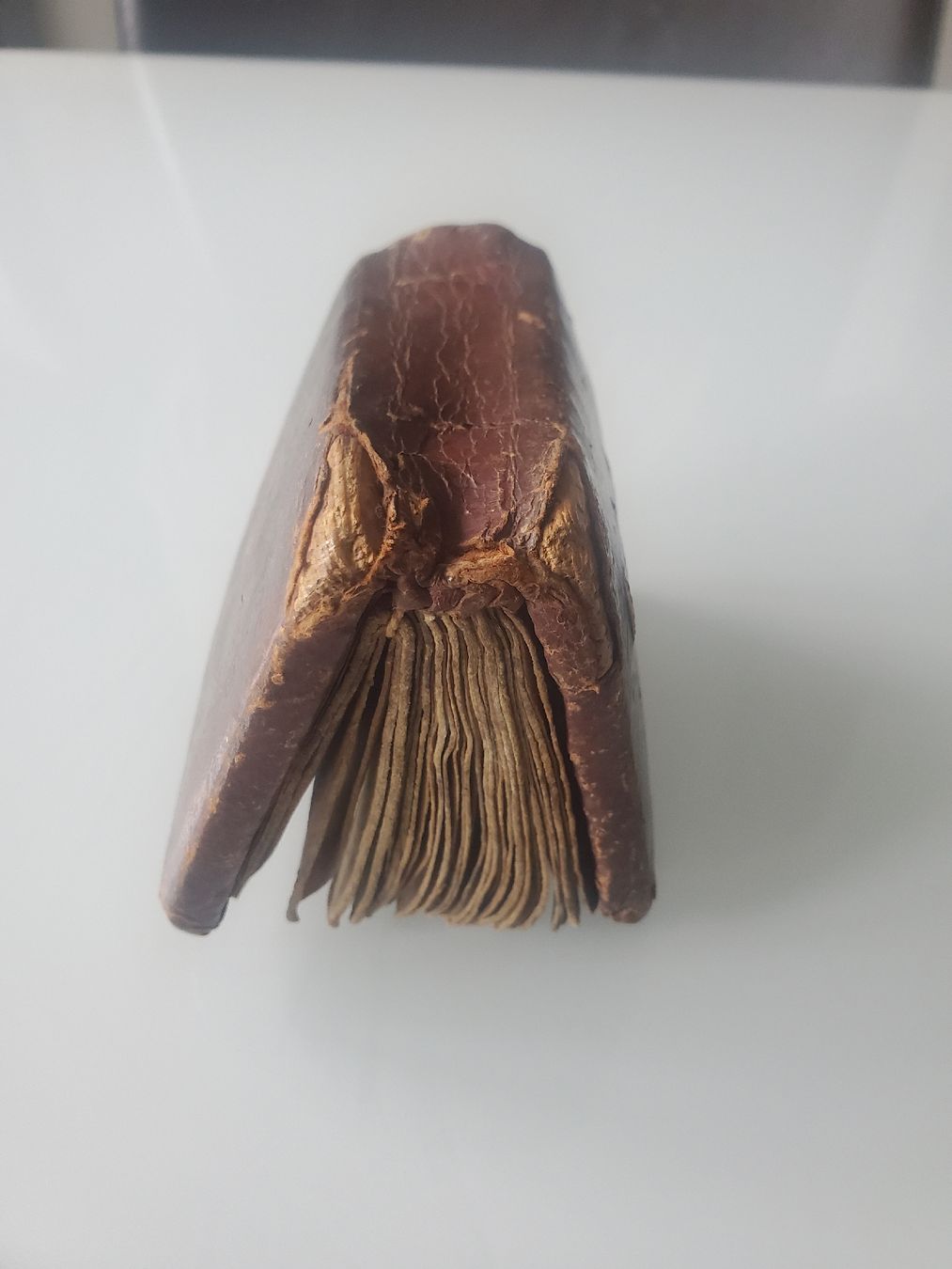 Libri: Äthiopisches Gebetsbuch, antik – Usato da Frauenfeld venduto da BeneFull 3