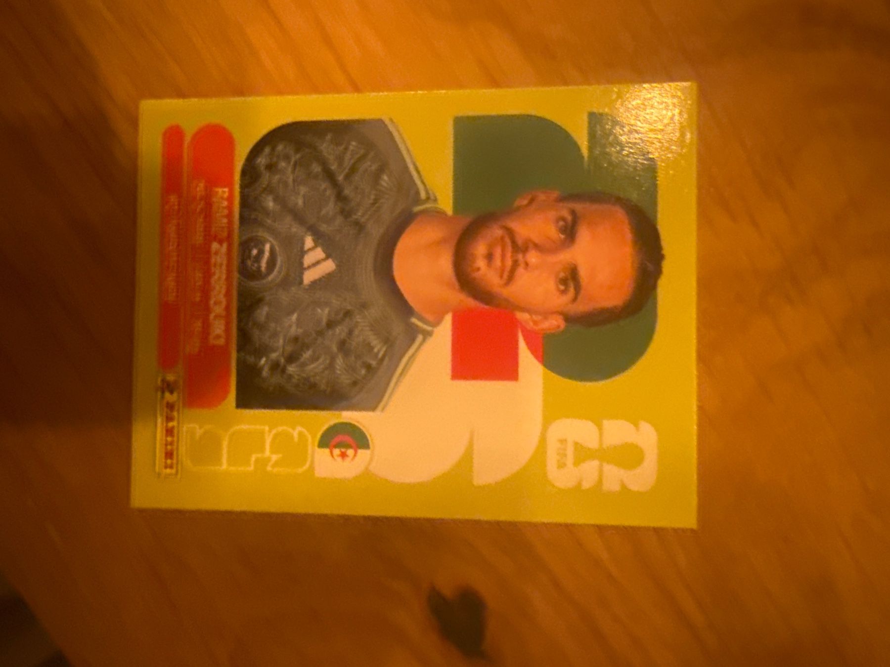 Panini Sammelbilder & Trading cards: Panini – Gebraucht aus Langnau i. E. von Acrjl
